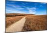 Pathway into the Prairie-tomofbluesprings-Mounted Photographic Print