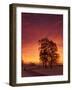 Pathway near Whitman Mission, Washington, USA-Brent Bergherm-Framed Photographic Print