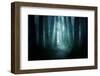 Pathway through A Dark Forest-solarseven-Framed Photographic Print