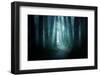 Pathway through A Dark Forest-solarseven-Framed Photographic Print