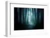 Pathway through A Dark Forest-solarseven-Framed Photographic Print