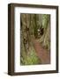 Pathway through redwood trees. Redwood National Park, California-Adam Jones-Framed Photographic Print