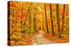 Pathway through the Autumn Forest-sborisov-Stretched Canvas