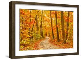 Pathway through the Autumn Forest-sborisov-Framed Photographic Print