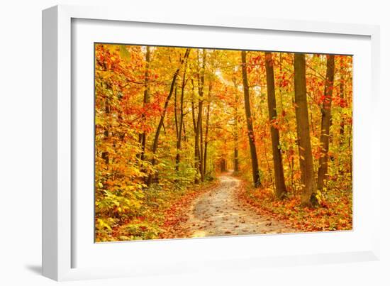 Pathway through the Autumn Forest-sborisov-Framed Photographic Print