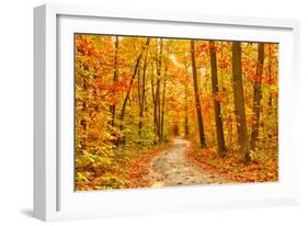 Pathway through the Autumn Forest-sborisov-Framed Photographic Print