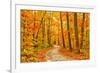 Pathway through the Autumn Forest-sborisov-Framed Photographic Print