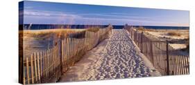 Pathway to the Beach-Joseph Sohm-Stretched Canvas