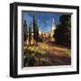 Pathway to the Villa-Philip Craig-Framed Giclee Print