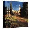 Pathway to the Villa-Philip Craig-Stretched Canvas