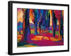Pathway to the Vineyard-Gerry Baptist-Framed Giclee Print
