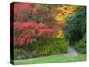 Pathway with Autumn Color, Washington Park Arboretum, Seattle, Washington, USA-Jamie & Judy Wild-Stretched Canvas