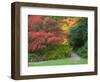 Pathway with Autumn Color, Washington Park Arboretum, Seattle, Washington, USA-Jamie & Judy Wild-Framed Photographic Print