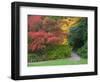 Pathway with Autumn Color, Washington Park Arboretum, Seattle, Washington, USA-Jamie & Judy Wild-Framed Photographic Print