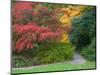 Pathway with Autumn Color, Washington Park Arboretum, Seattle, Washington, USA-Jamie & Judy Wild-Mounted Photographic Print