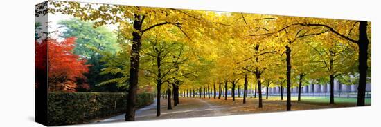 Pathway with Trees Karlsruhe Germany-null-Stretched Canvas