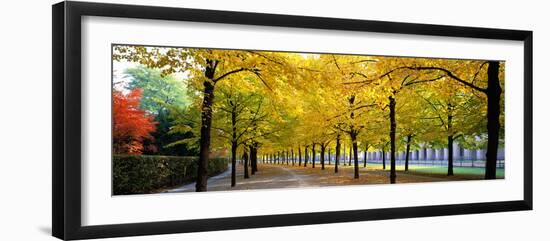 Pathway with Trees Karlsruhe Germany-null-Framed Premium Photographic Print