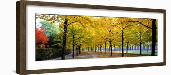 Pathway with Trees Karlsruhe Germany-null-Framed Photographic Print