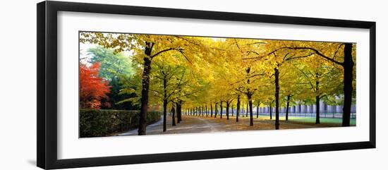 Pathway with Trees Karlsruhe Germany-null-Framed Photographic Print