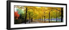 Pathway with Trees Karlsruhe Germany-null-Framed Photographic Print