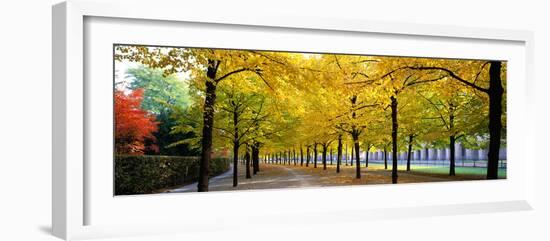 Pathway with Trees Karlsruhe Germany-null-Framed Photographic Print