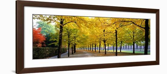 Pathway with Trees Karlsruhe Germany-null-Framed Photographic Print