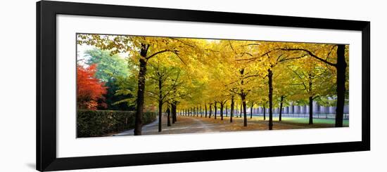 Pathway with Trees Karlsruhe Germany-null-Framed Photographic Print