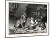 Patience, Dog and Cats Dinner-null-Mounted Giclee Print