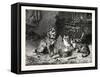 Patience, Dog and Cats Dinner-null-Framed Stretched Canvas