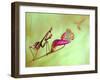 Patience-Jimmy Hoffman-Framed Photographic Print