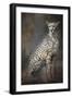 Patience-Jai Johnson-Framed Premium Giclee Print