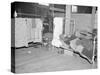 Patient in a Red Cross temporary infirmary for flood refugees at Forrest City, Arkansas, 1937-Walker Evans-Stretched Canvas