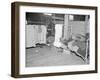 Patient in a Red Cross temporary infirmary for flood refugees at Forrest City, Arkansas, 1937-Walker Evans-Framed Photographic Print