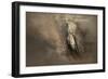 Patiently Waiting-Jai Johnson-Framed Giclee Print