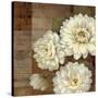 Patina Dahlia-Pamela Gladding-Stretched Canvas