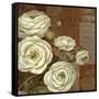 Patina Ranunculus-Pamela Gladding-Framed Stretched Canvas