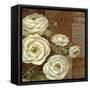 Patina Ranunculus-Pamela Gladding-Framed Stretched Canvas