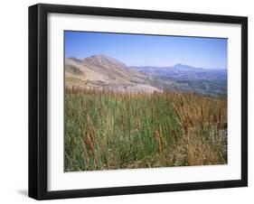 Patinico Landscape, Island of Sicily, Italy, Mediterranean-Oliviero Olivieri-Framed Photographic Print