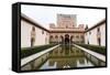 Patio De Arrayanes, Palacios Nazaries, the Alhambra, Granada, Andalucia, Spain-Carlo Morucchio-Framed Stretched Canvas