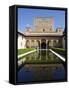 Patio De Los Arrayanes and Comares Tower, Alhambra Palace, Granada, Andalucia, Spain-Jeremy Lightfoot-Framed Stretched Canvas