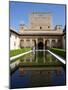 Patio De Los Arrayanes and Comares Tower, Alhambra Palace, Granada, Andalucia, Spain-Jeremy Lightfoot-Mounted Photographic Print