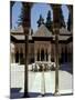 Patio de los Leones in the Alhambra, Granada, Spain-Merrill Images-Mounted Premium Photographic Print