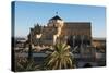 Patio De Los Naranjos and the Mezquita Cathedral Seen from its Bell Tower-Carlo Morucchio-Stretched Canvas