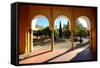 Patio De Los Naranjos, Mezquita Cathedral, Cordoba, Andalucia, Spain-Carlo Morucchio-Framed Stretched Canvas