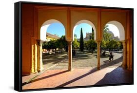 Patio De Los Naranjos, Mezquita Cathedral, Cordoba, Andalucia, Spain-Carlo Morucchio-Framed Stretched Canvas