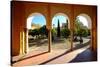 Patio De Los Naranjos, Mezquita Cathedral, Cordoba, Andalucia, Spain-Carlo Morucchio-Stretched Canvas