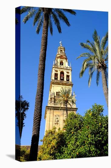 Patio De Los Naranjos, Mezquita Cathedral, Cordoba, Andalucia, Spain-Carlo Morucchio-Stretched Canvas