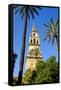 Patio De Los Naranjos, Mezquita Cathedral, Cordoba, Andalucia, Spain-Carlo Morucchio-Framed Stretched Canvas