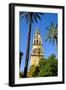 Patio De Los Naranjos, Mezquita Cathedral, Cordoba, Andalucia, Spain-Carlo Morucchio-Framed Photographic Print