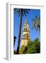 Patio De Los Naranjos, Mezquita Cathedral, Cordoba, Andalucia, Spain-Carlo Morucchio-Framed Photographic Print